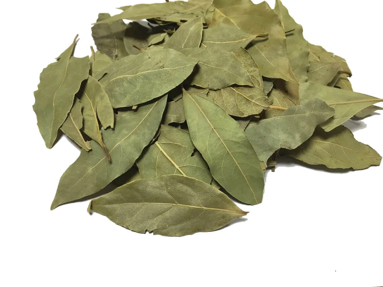 Feuille Laurier