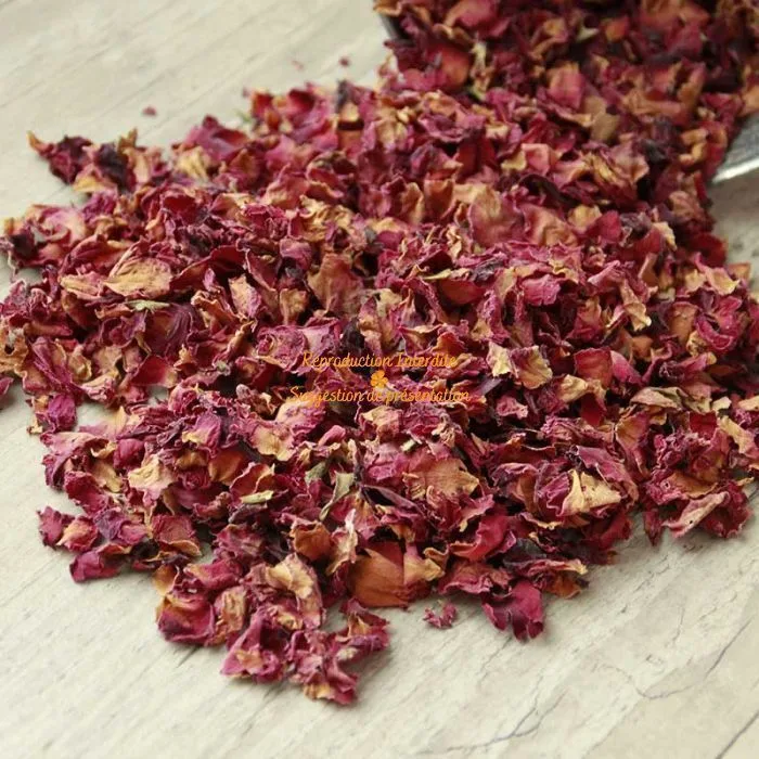 Fleur d'hibiscus